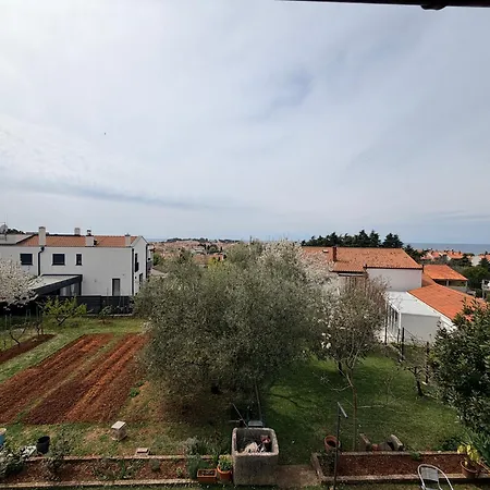 Apartmant Bella Vista & Garden Porec